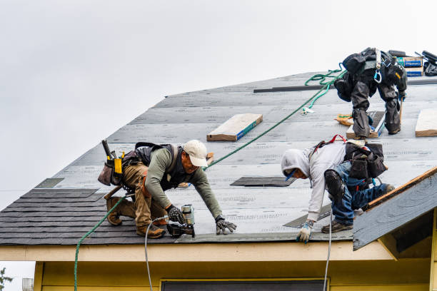 Professional Storm Damage Roof Repair technician working in Corinne, WV